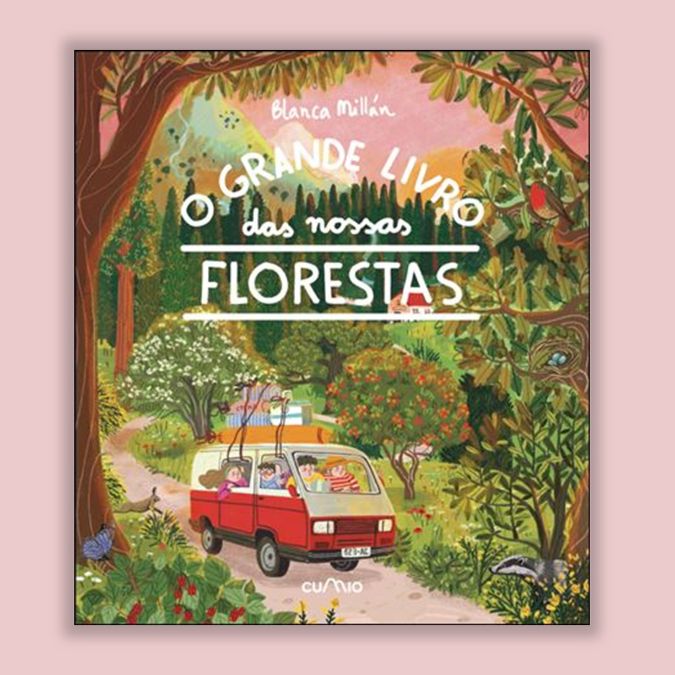 capa do livro